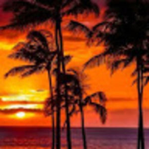 Meet your Posher, Ian